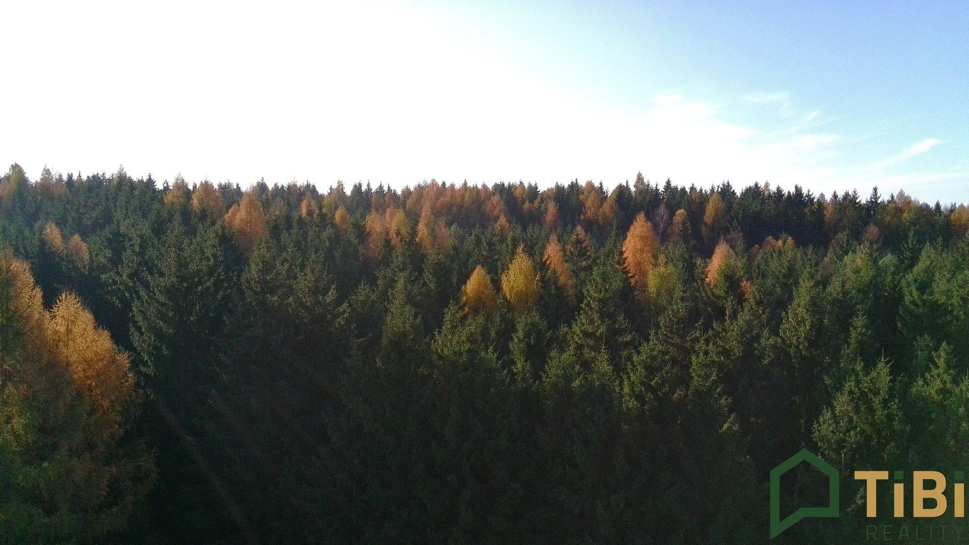 Prodej pozemek pro bydlení - Žipotín, Gruna, 1 753 m²