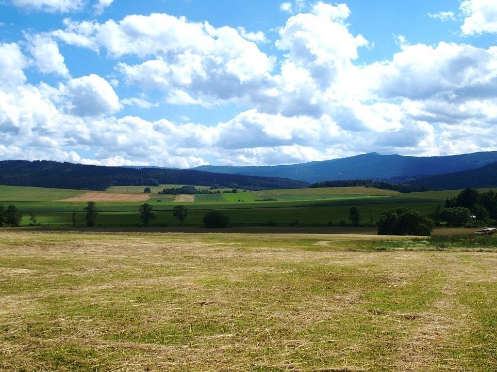 Zemědělský pozemek · Nýrsko, okres Klatovy, Plzeňský kraj - 4
