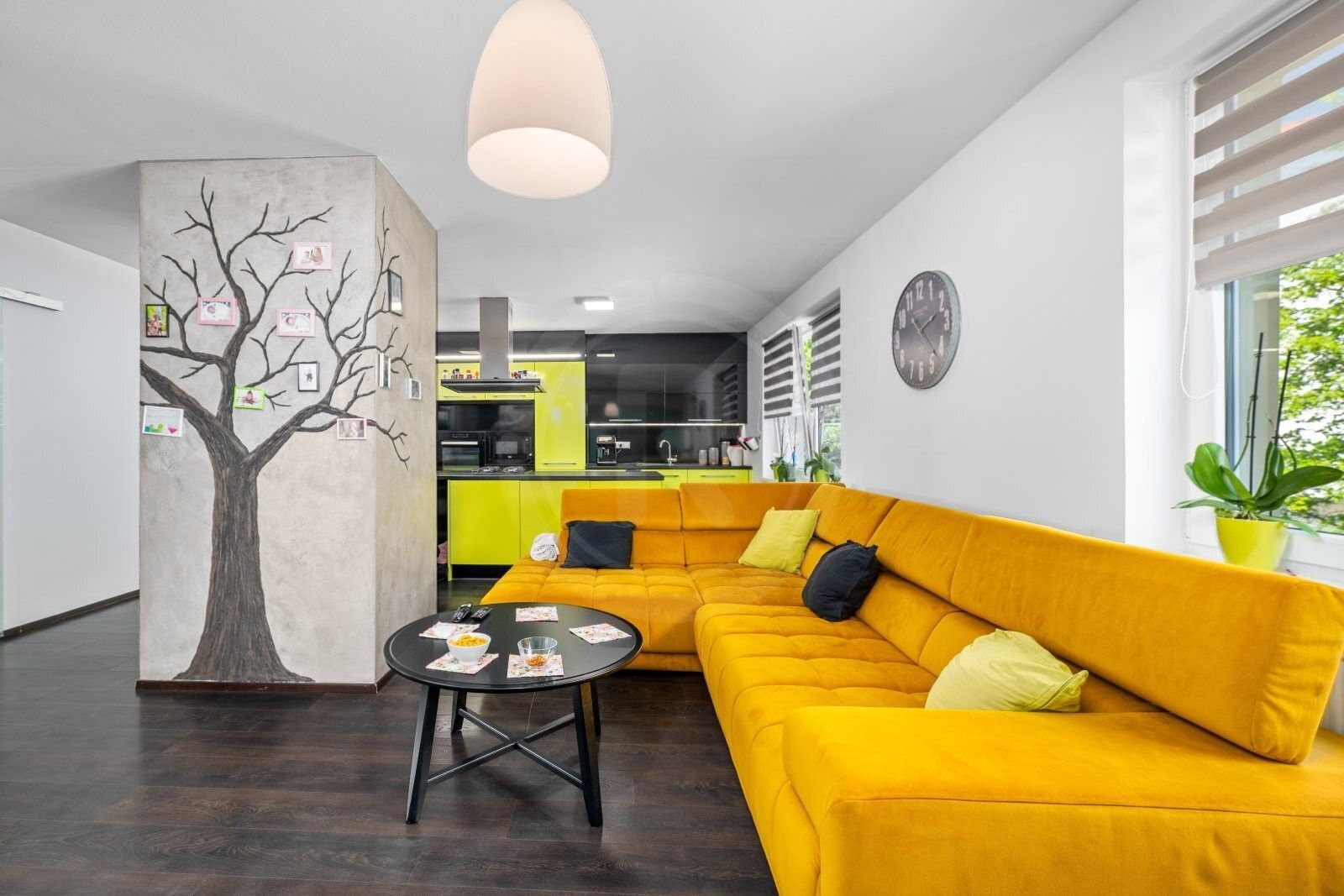 Rodinné domy, Thomayerova 589, České Budějovice 7, 333 m² - 1