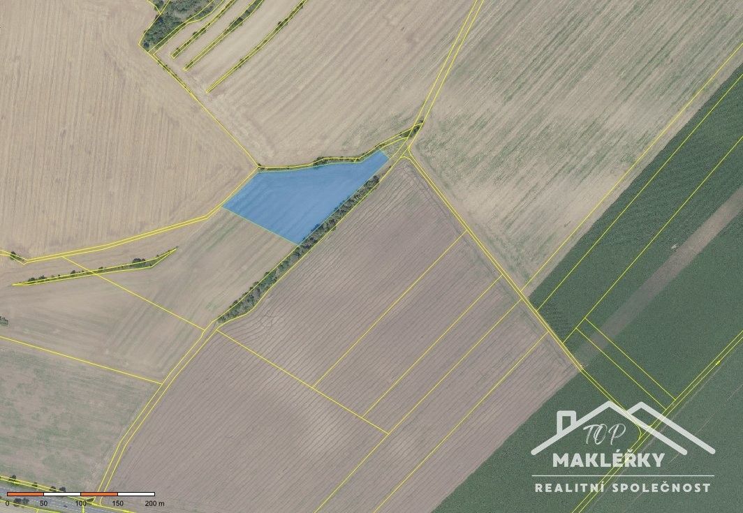 Zemědělské pozemky, Nová Ves I