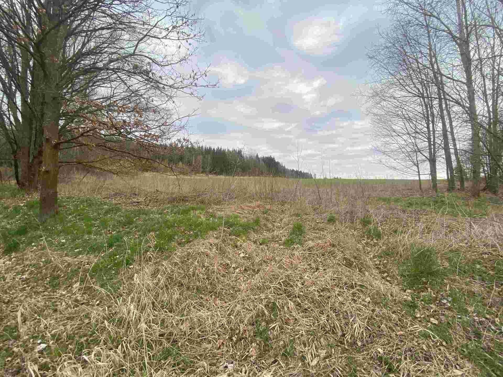 Prodej zemědělský pozemek - Žinkovy, 15 m²