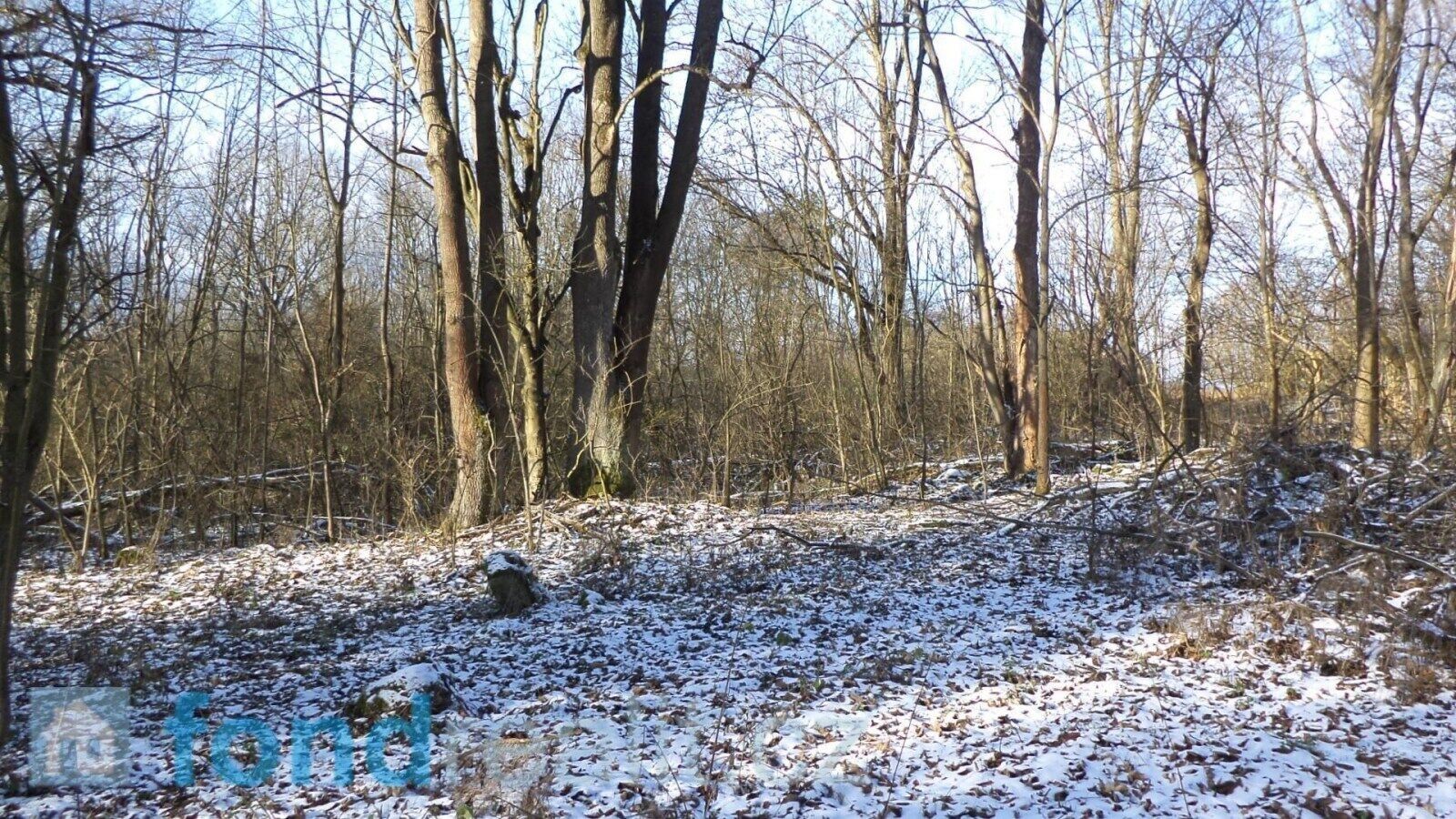 Prodej pozemek - Staré Město pod Landštejnem, 3 m²