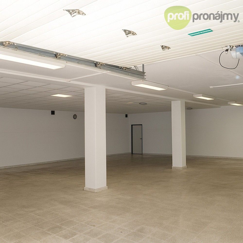 Sklad · 280 m² · Vyškov - Brňany, Jihomoravský kraj - 3