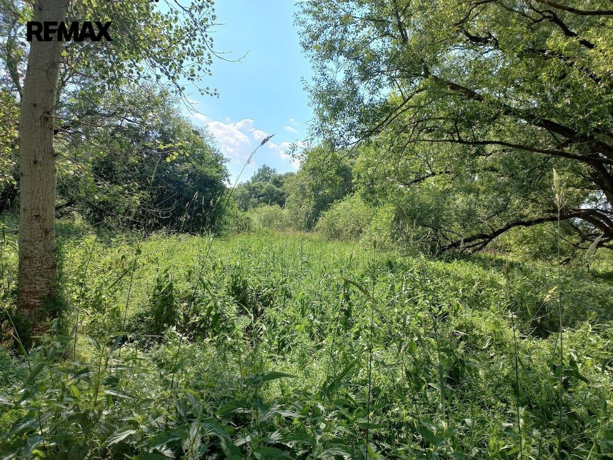 Ostatní, Vodňany, 4 517 m² - 1