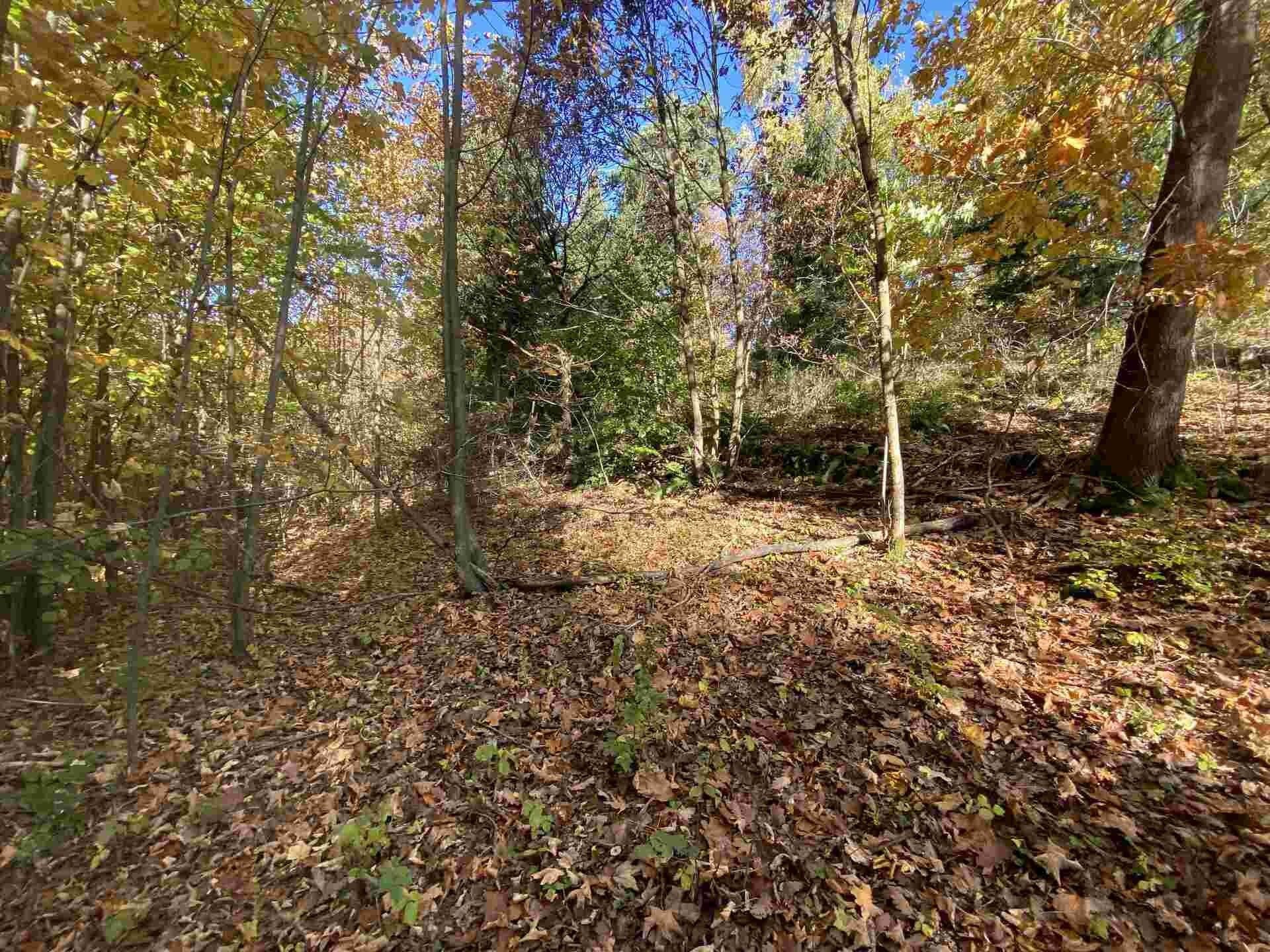 Prodej zemědělský pozemek - Železný Brod, 12 m²