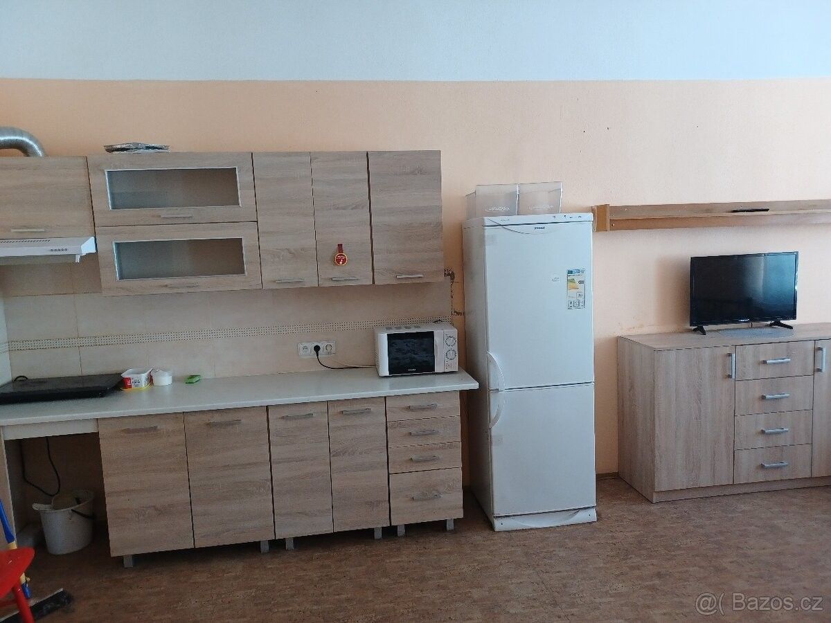 Byty, Pelhřimov, 393 01 - 1
