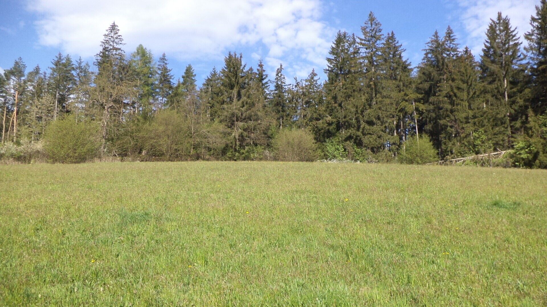 Zemědělské pozemky, Mokrosuky, 9 910 m² - 2
