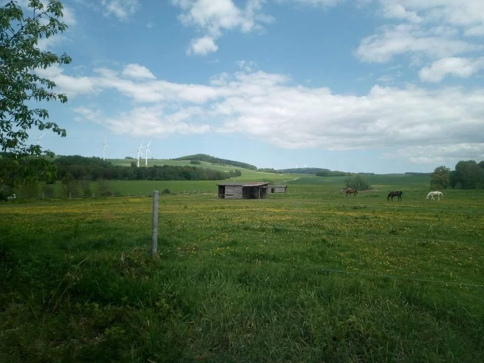 Pozemky pro bydlení, Hrádek nad Nisou, 463 34 - 1