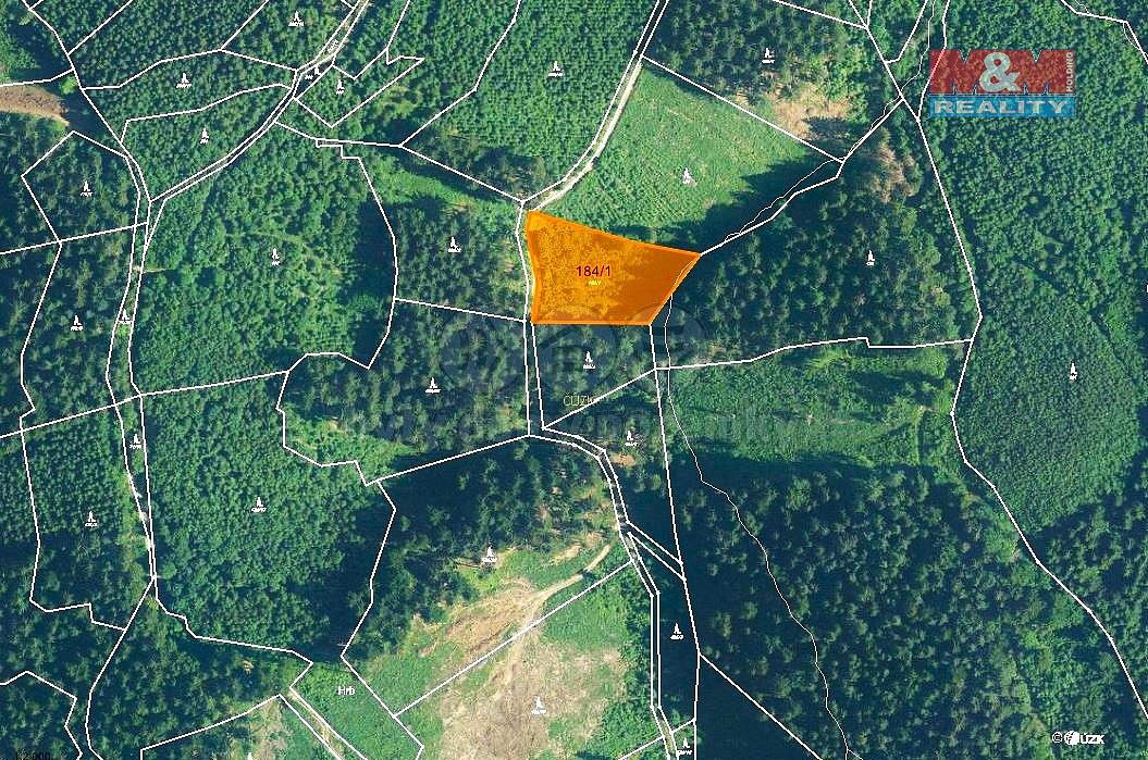 Les · Lhota u Vsetína, okres Vsetín, Zlínský kraj - 4