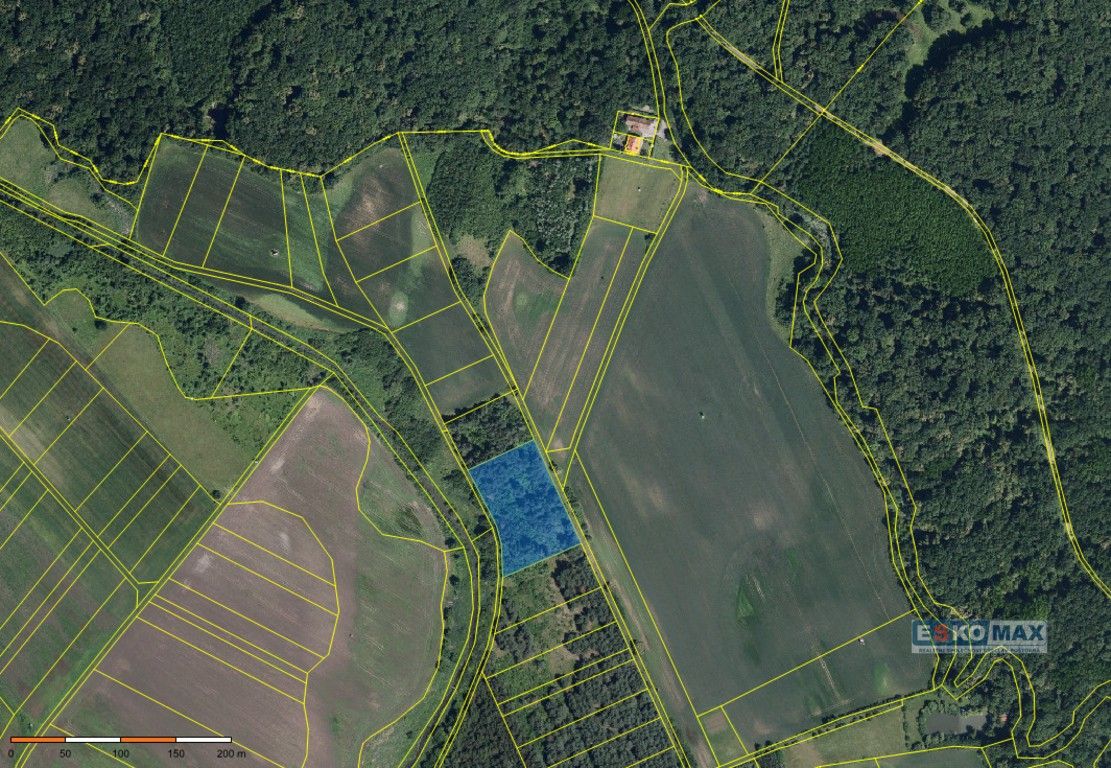 Prodej les - Charvátská Nová Ves, Břeclav, 3 m²