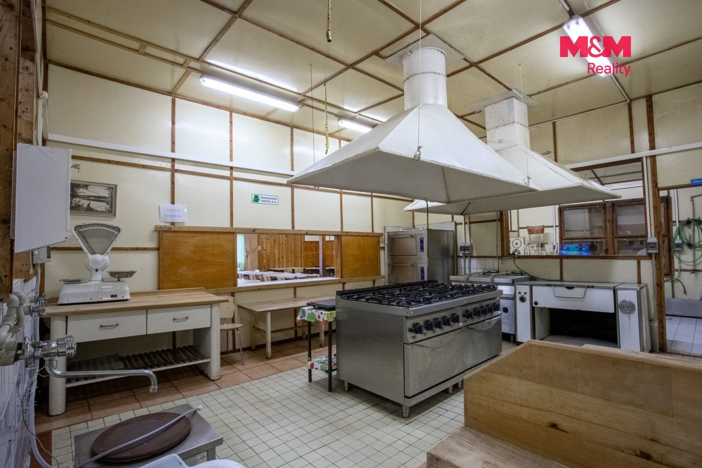 Nemovitost · 1 300 m² · Křivce, Bezdružice - 3