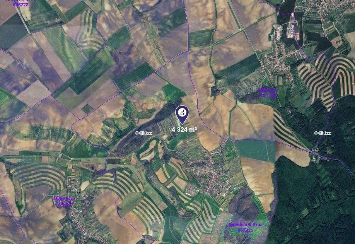 Zahrady, Kobeřice u Brna, 4 324 m² - 2