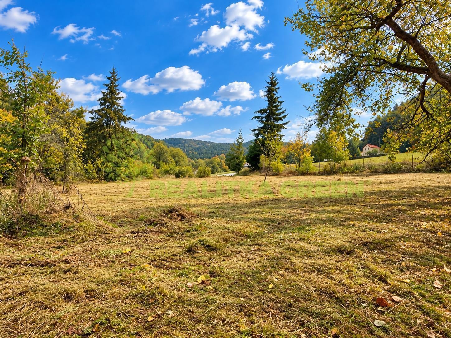 Pozemek pro bydlení · 2 996 m² · Růžďka - 3