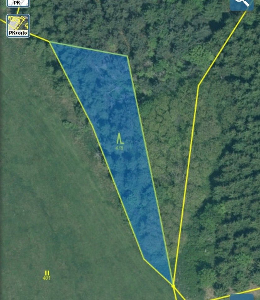 Pozemky pro bydlení, Čepřovice, 387 56