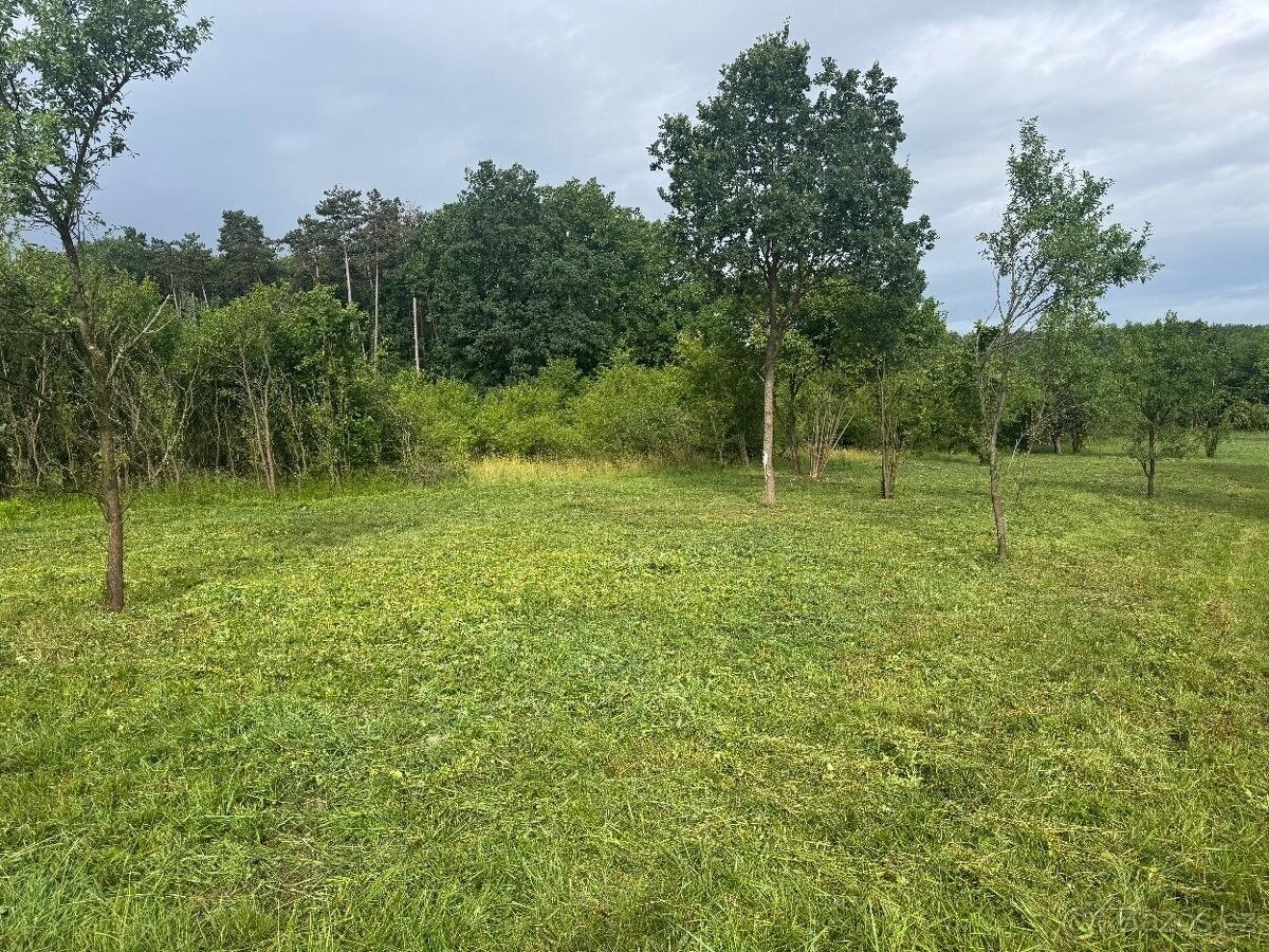 Zahrady, Chlumec nad Cidlinou, 503 51 - 2