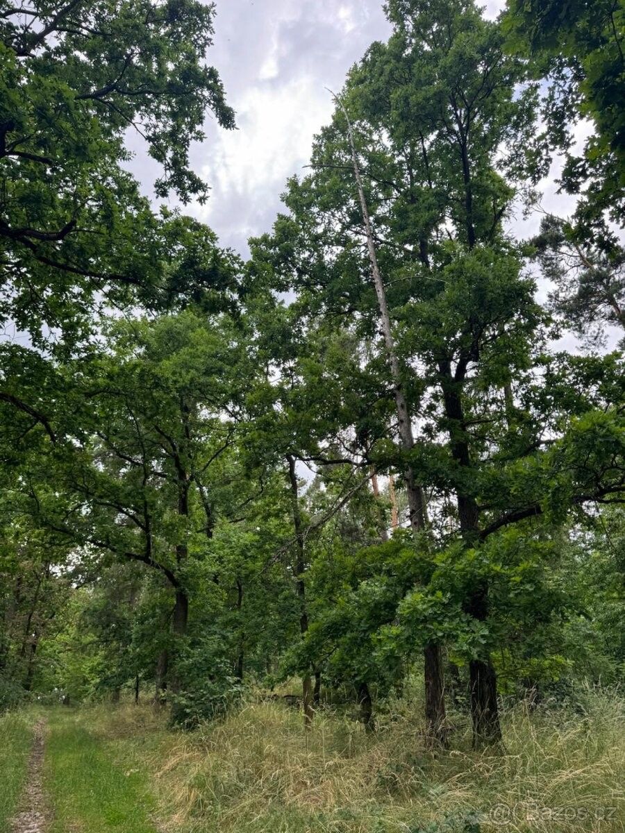 Pozemky pro bydlení, Bavorov, 387 73