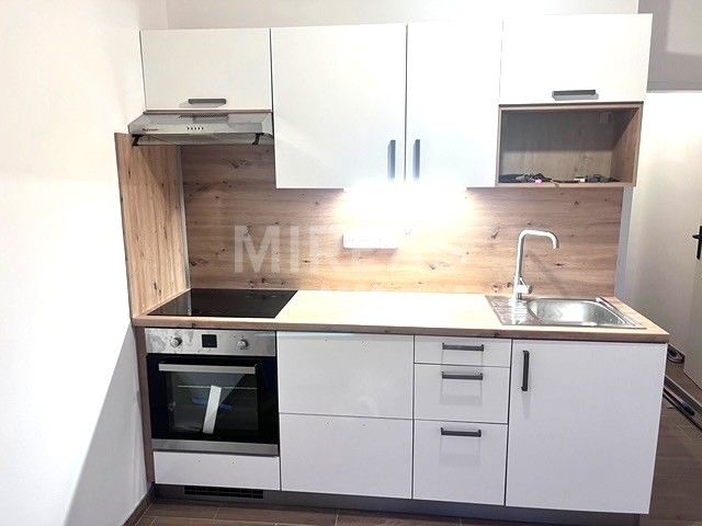 Pronájem byt - Milovice nad Labem, 289 24