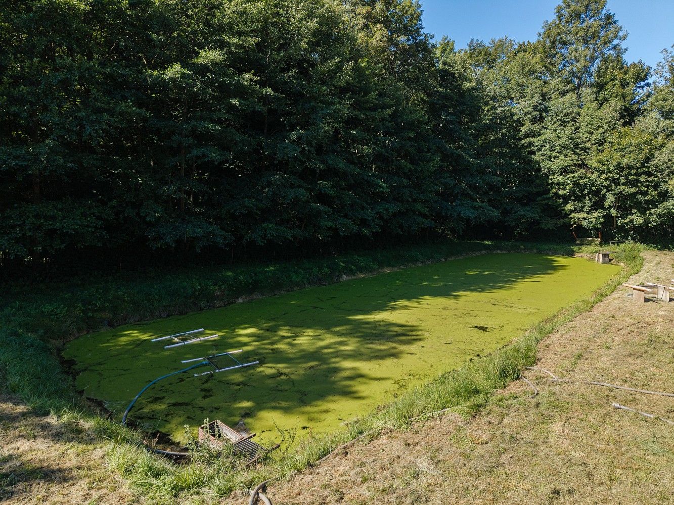 Rybník · Nové Hrady - Mokrá Lhota, okres Ústí nad Orlicí, Pardubický kraj - 3