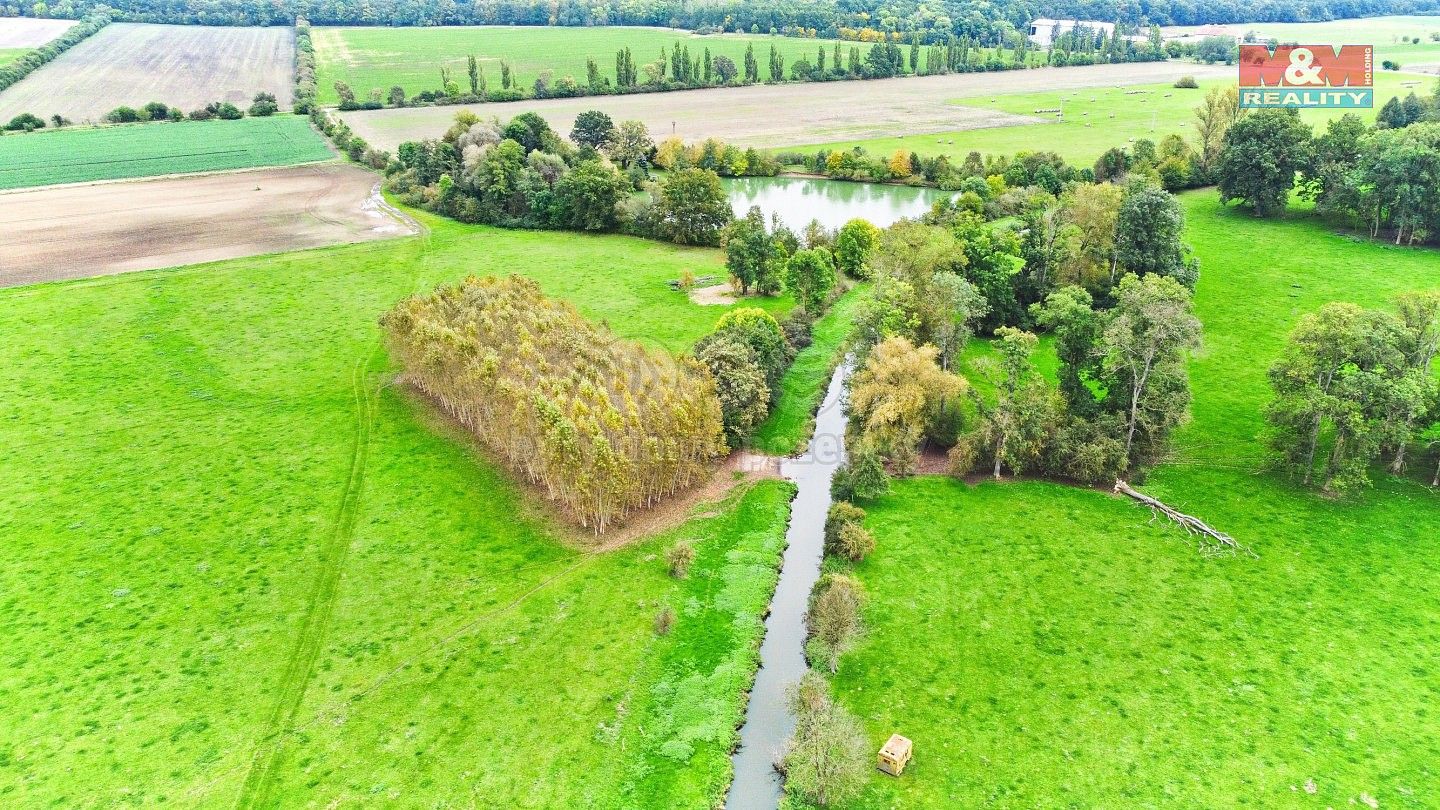 Lesy, Skřivany, okres Hradec Králové, Královéhradecký kraj - 1
