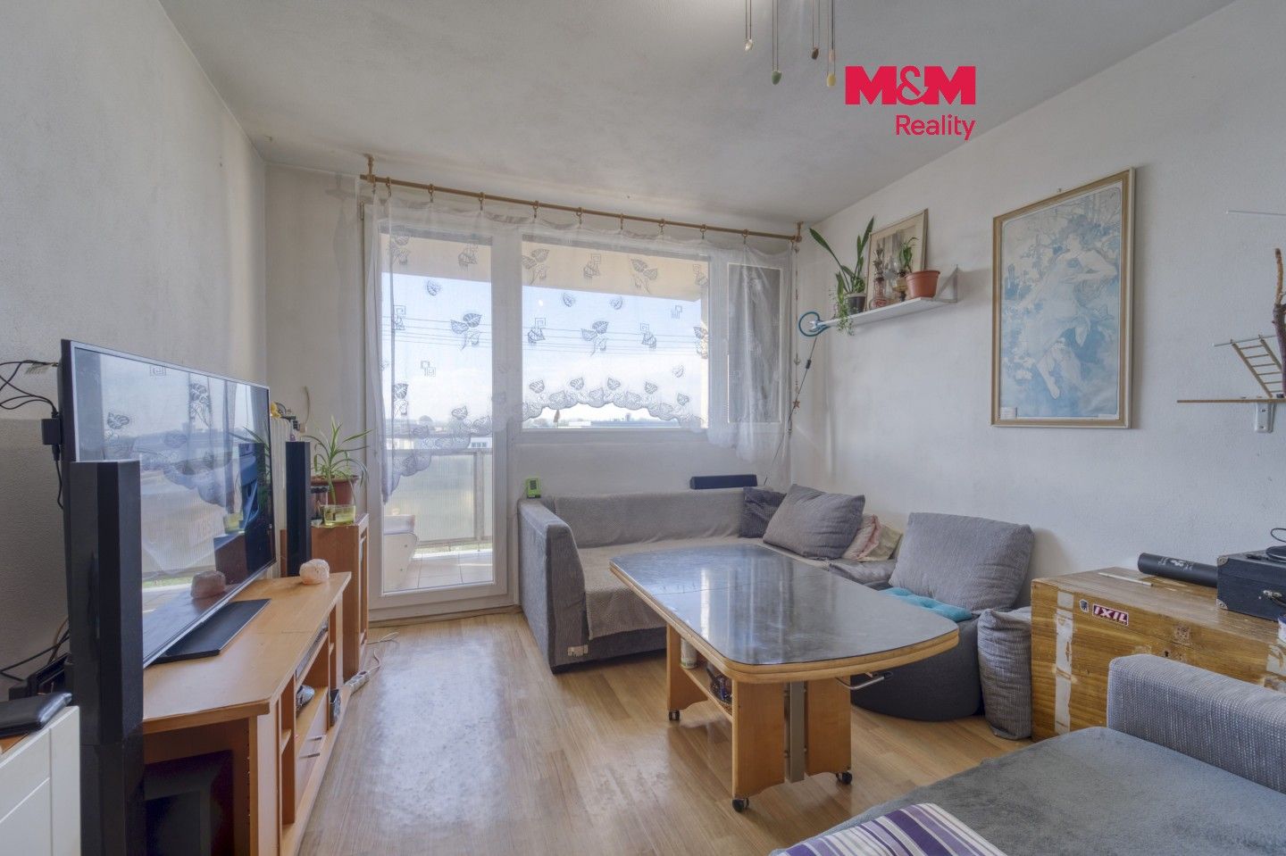 1+1, Čermákova, Plzeň, 34 m² - 1