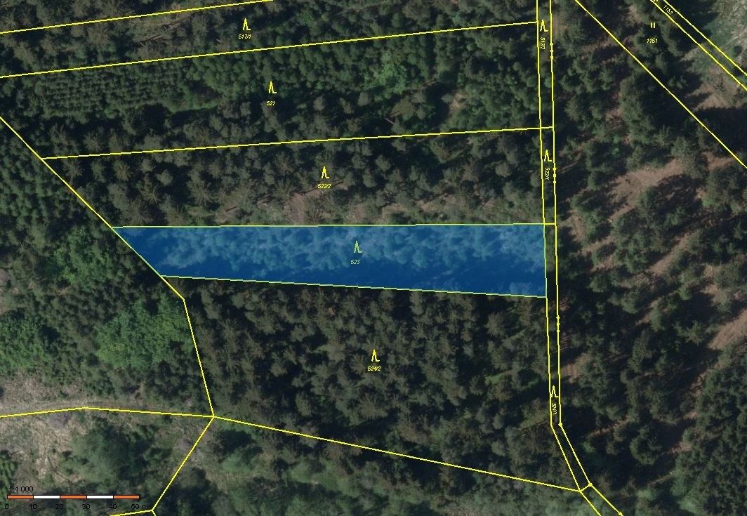 Lesy, Stonařov, 588 33, 3 561 m²
