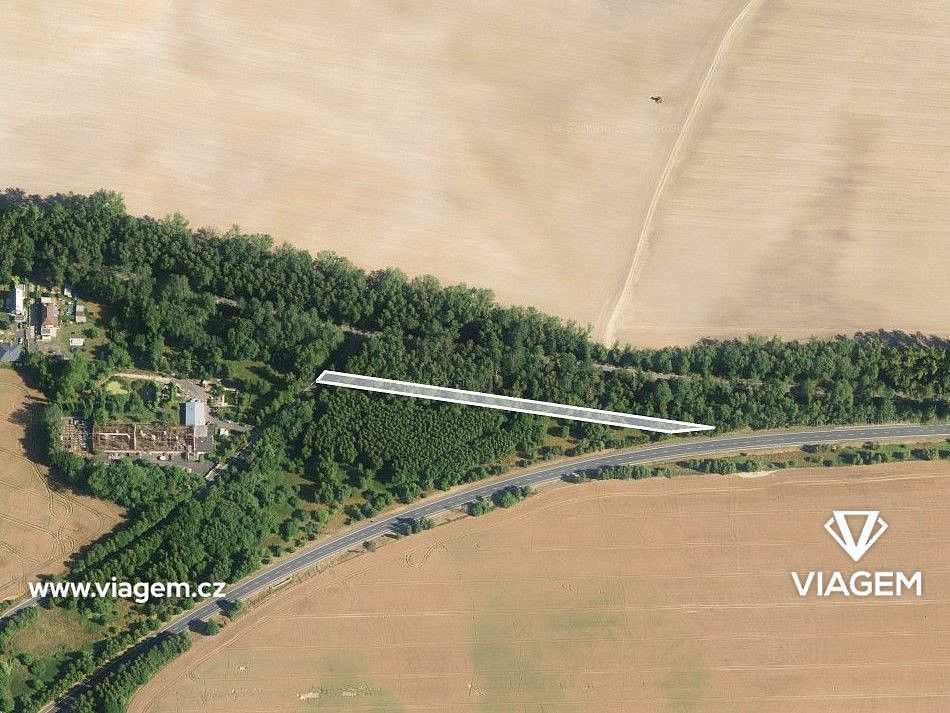 Prodej les - Cheb, Karlovarský kraj - 2