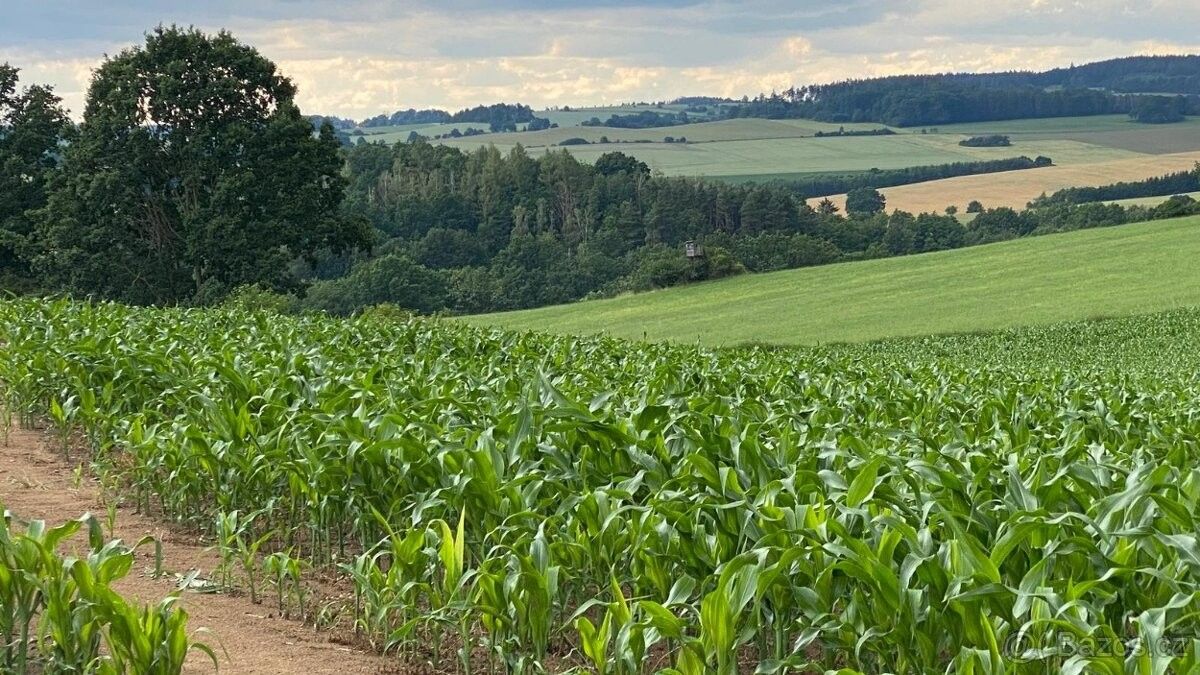 Prodej pozemek pro bydlení - Maršovice, 257 55