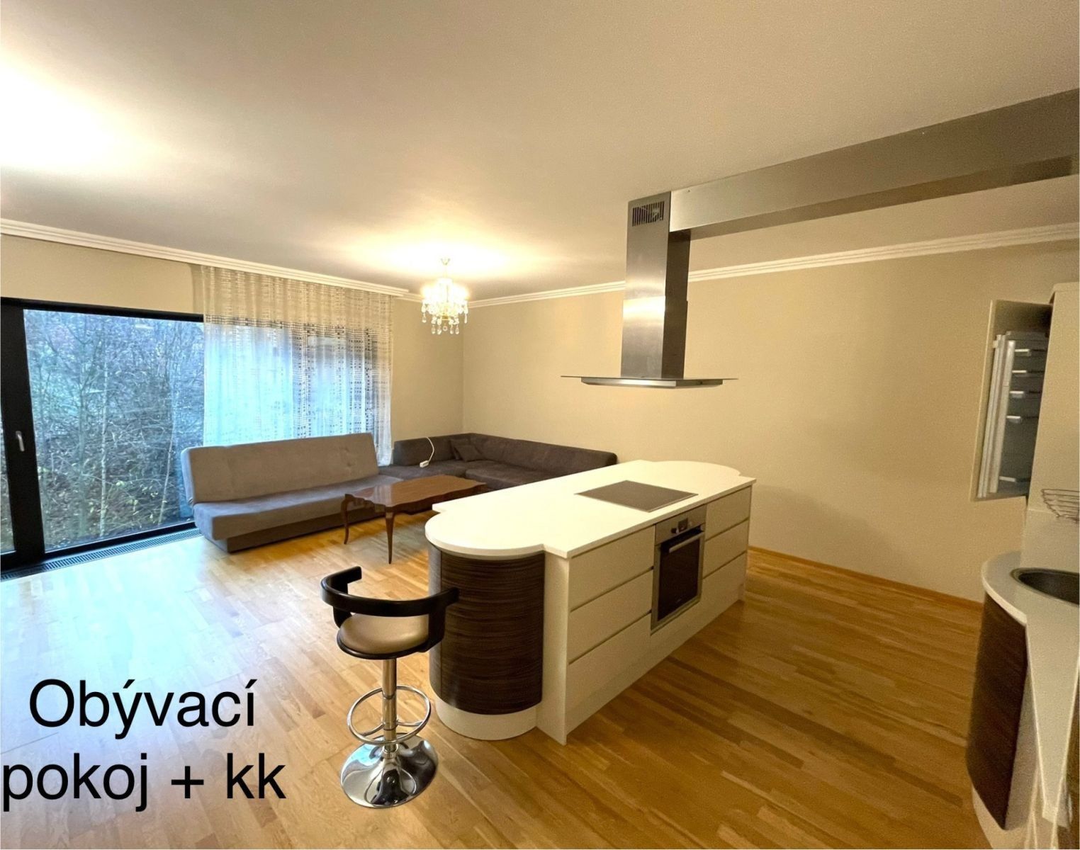 3+kk, Pražská silnice, Karlovy Vary - Karlovy Vary, Karlovarský kraj, 88 m² - 1