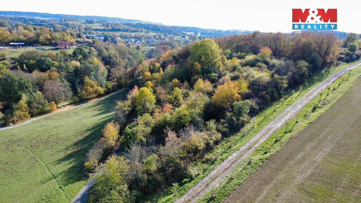 Zemědělský pozemek · Milešov, okres Příbram - 4