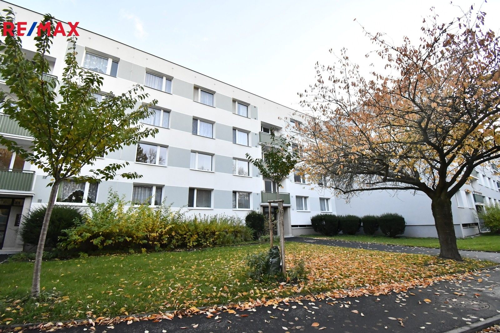 1+1, Truhlářská, Hradec Králové, 35 m²