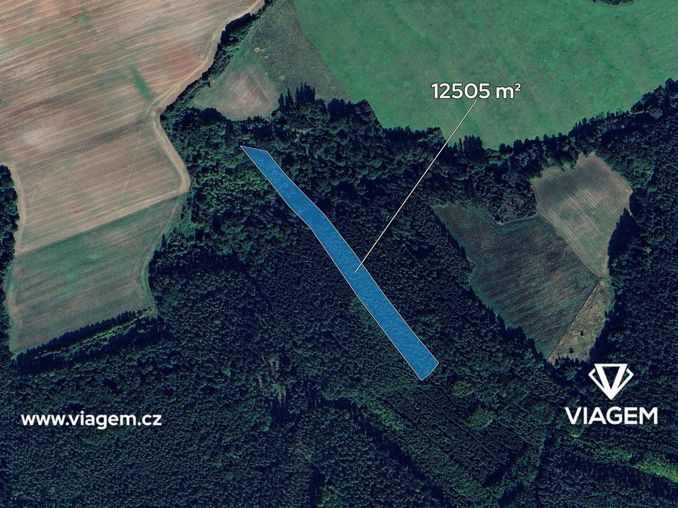 Prodej les - Pnětluky, okres Louny, Ústecký kraj - 2