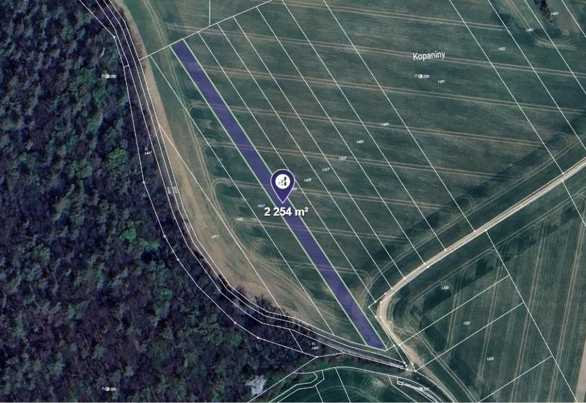 Zemědělské pozemky, Bělov, 2 254 m² - 1
