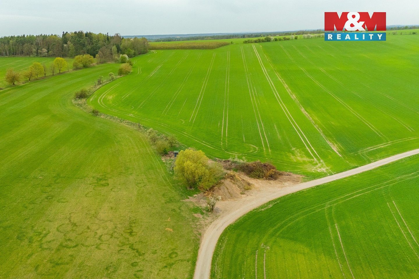 Louka · Olešnice, okres Rychnov nad Kněžnou, Královéhradecký kraj - 4