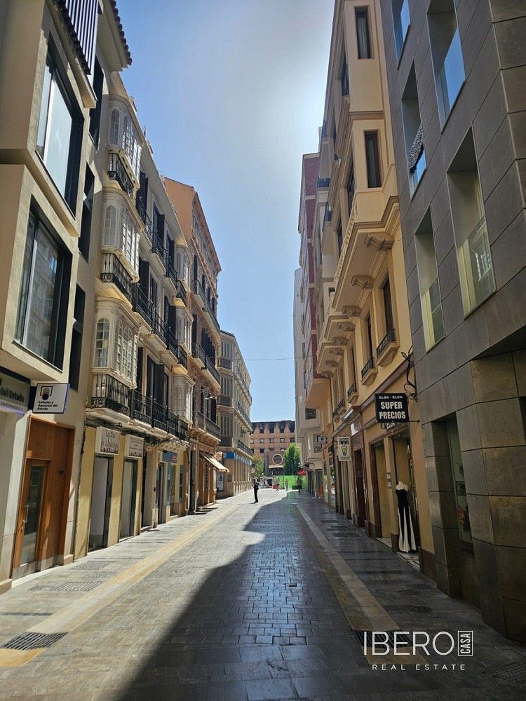 4+kk, Málaga Centro, Španělsko, 124 m² - 1
