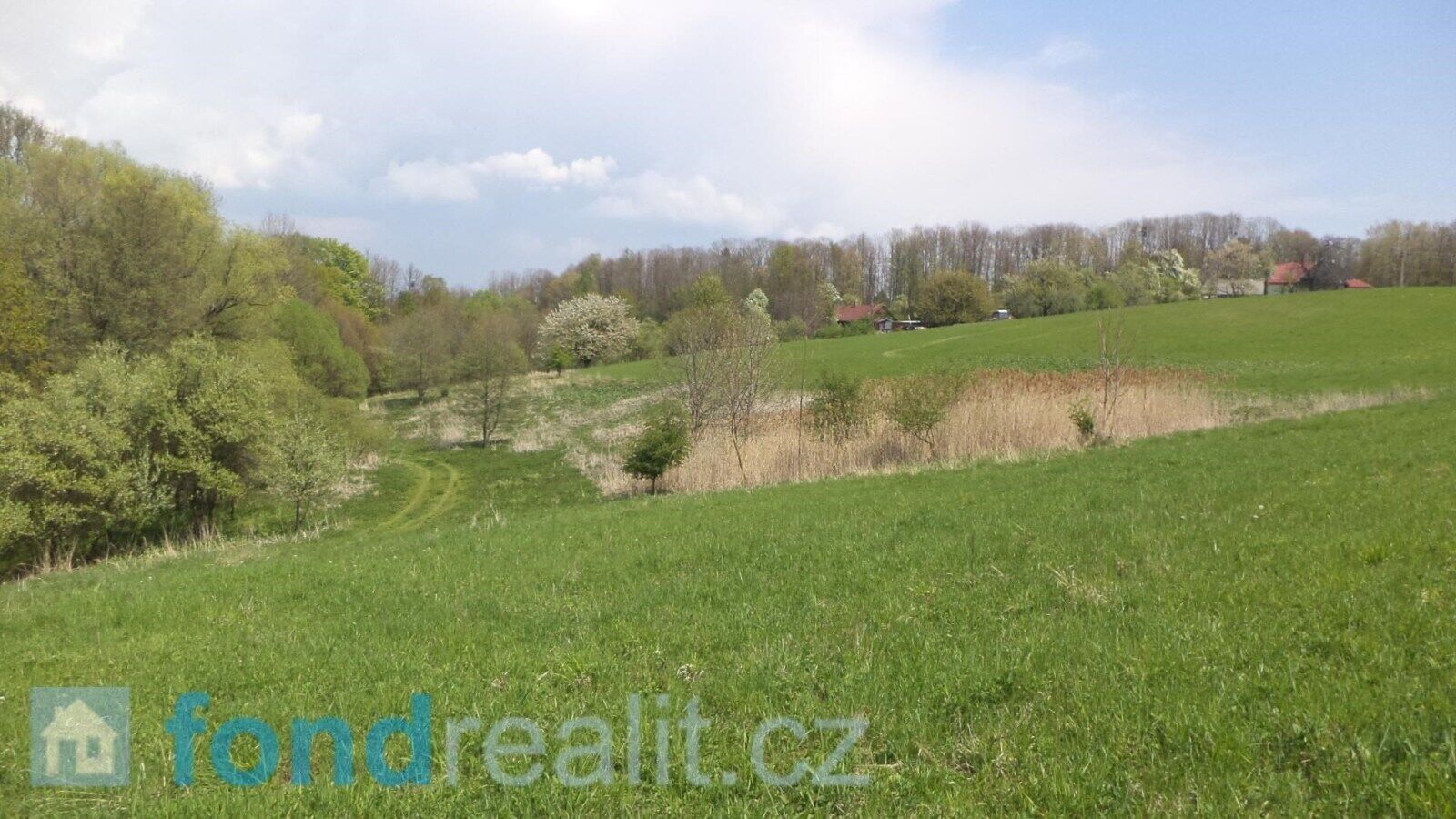 Zemědělský pozemek · 8 787 m² · Chotěbuz - 4