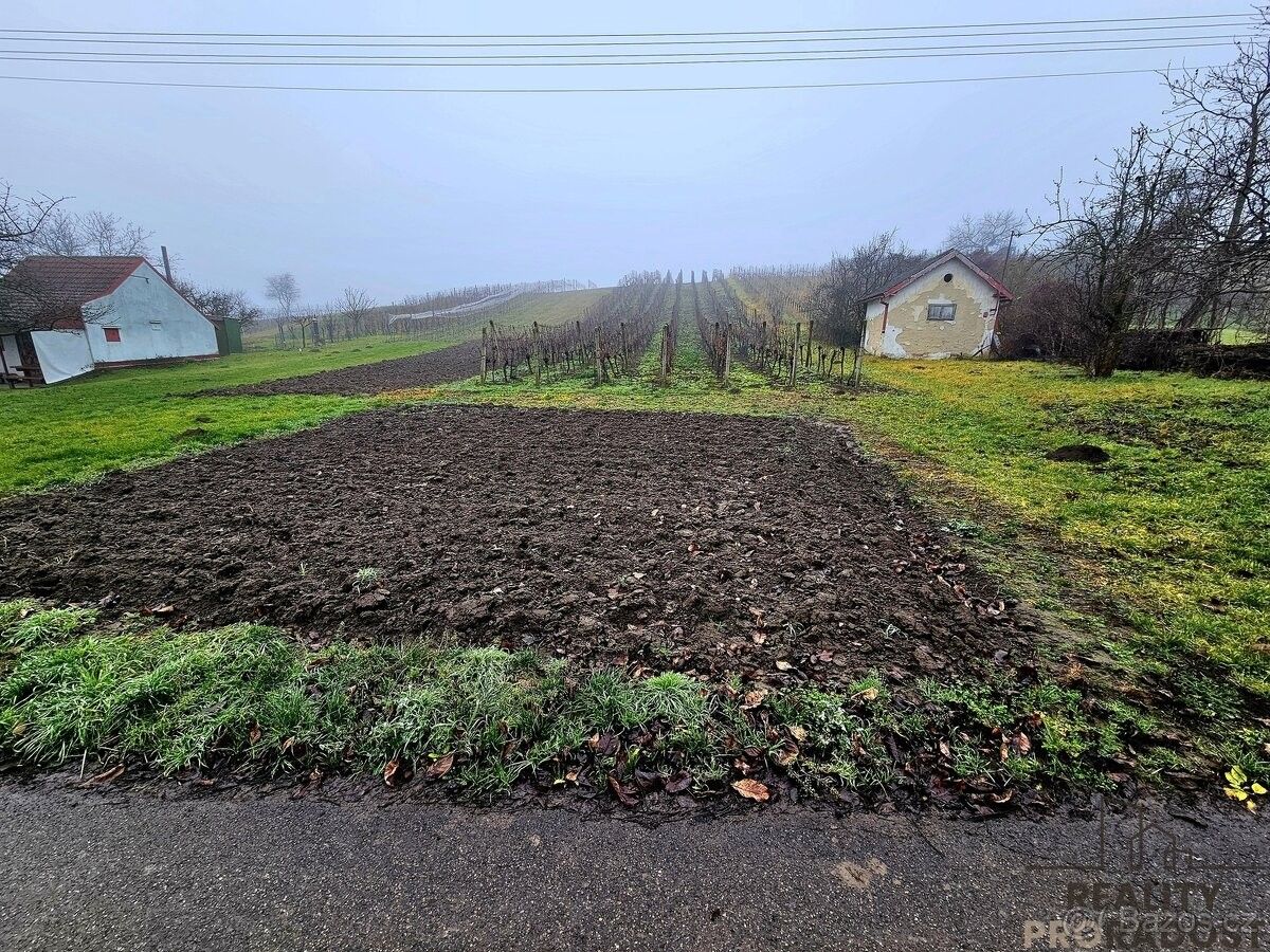 Prodej pozemek pro bydlení - Čejč, 696 14