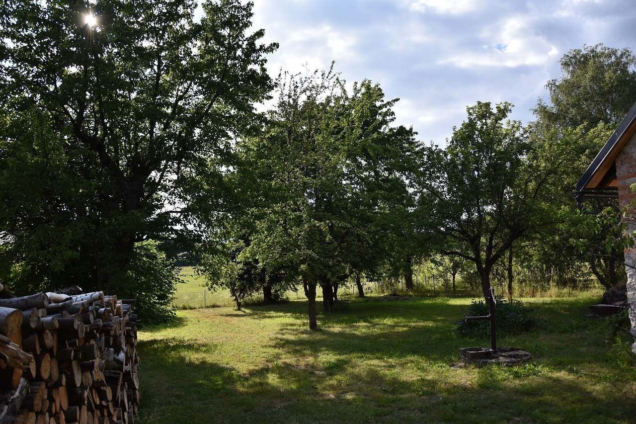 Chaty, Bystré v Orlických horách, Královéhradecký kraj - 2