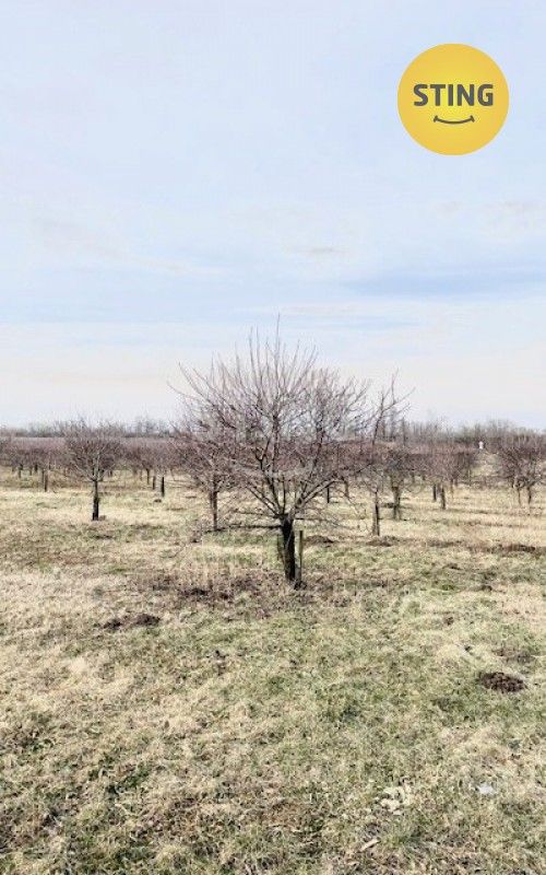 Prodej pozemek - Lužice, 3 829 m²