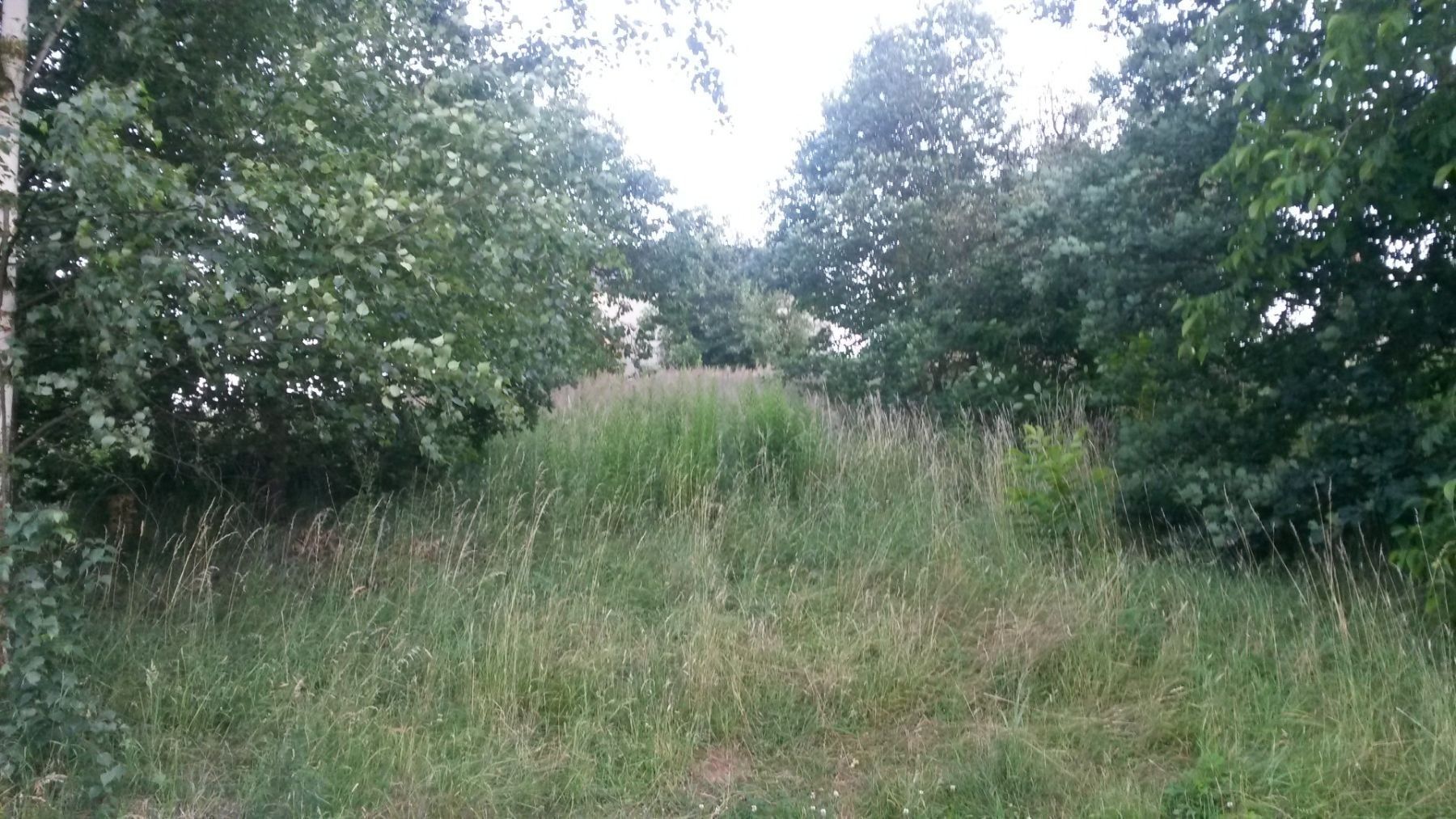 Prodej pozemek pro bydlení - Obecní, Březí - Březí u Říčan, Středočeský kraj, 1 171 m² - 5