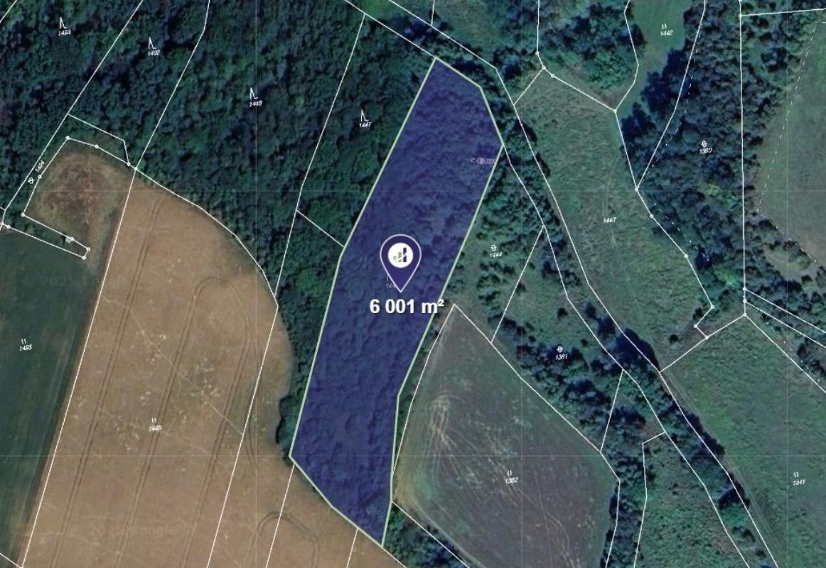 Lesy, Vysoká, 6 001 m²