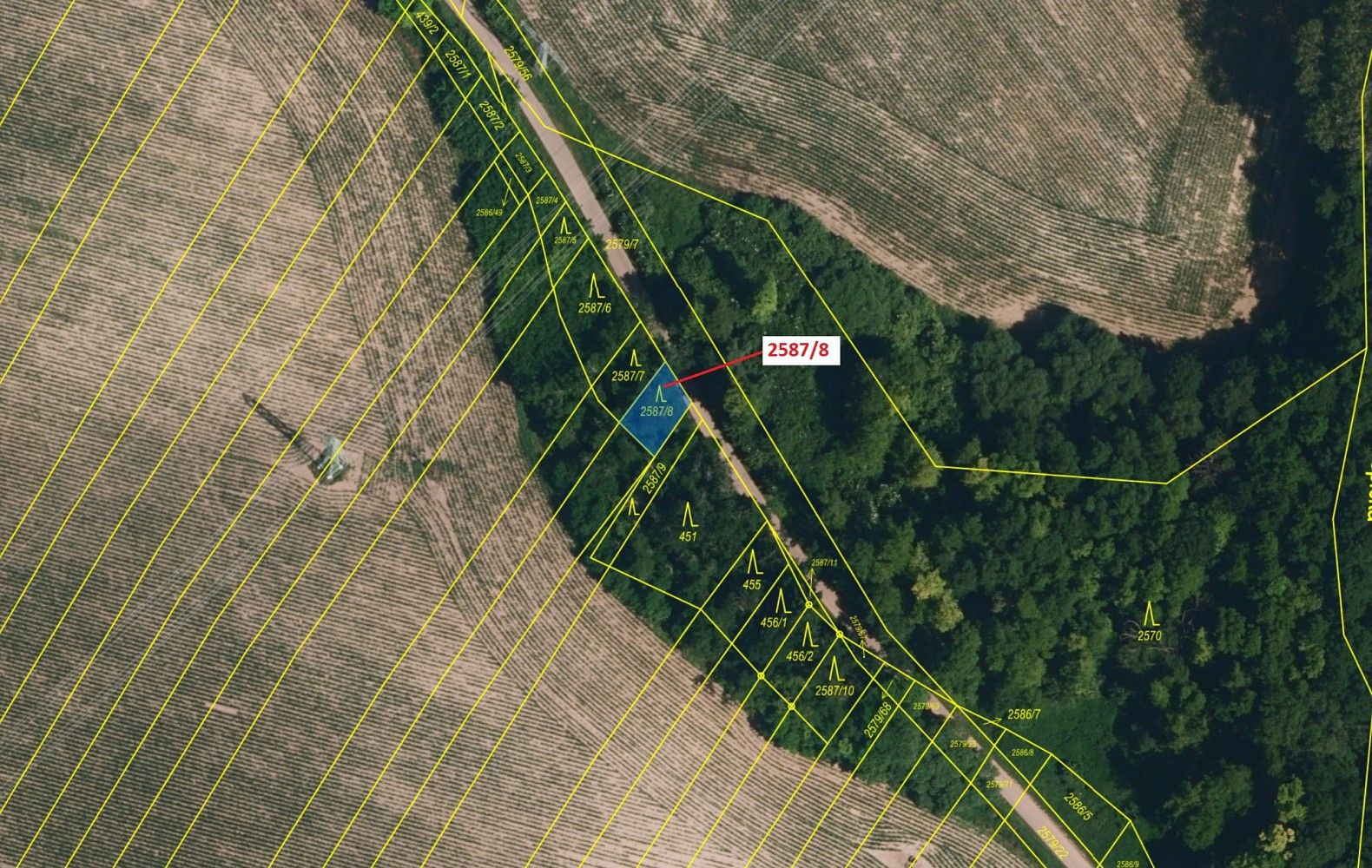 Prodej les - Horní Dunajovice, okres Znojmo, Jihomoravský kraj - 2
