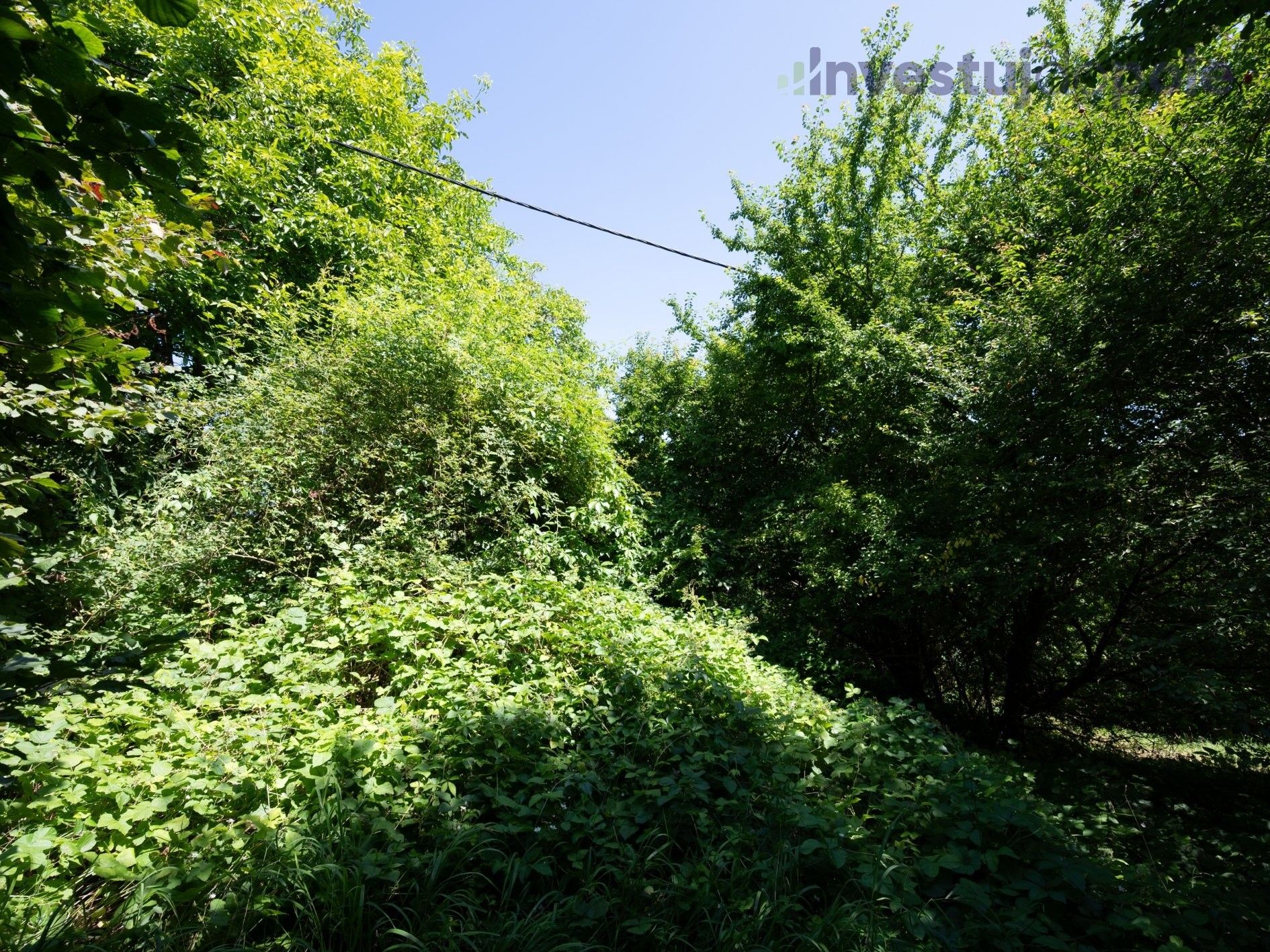 Prodej louka - Hrubá Skála, 2 240 m² - 5