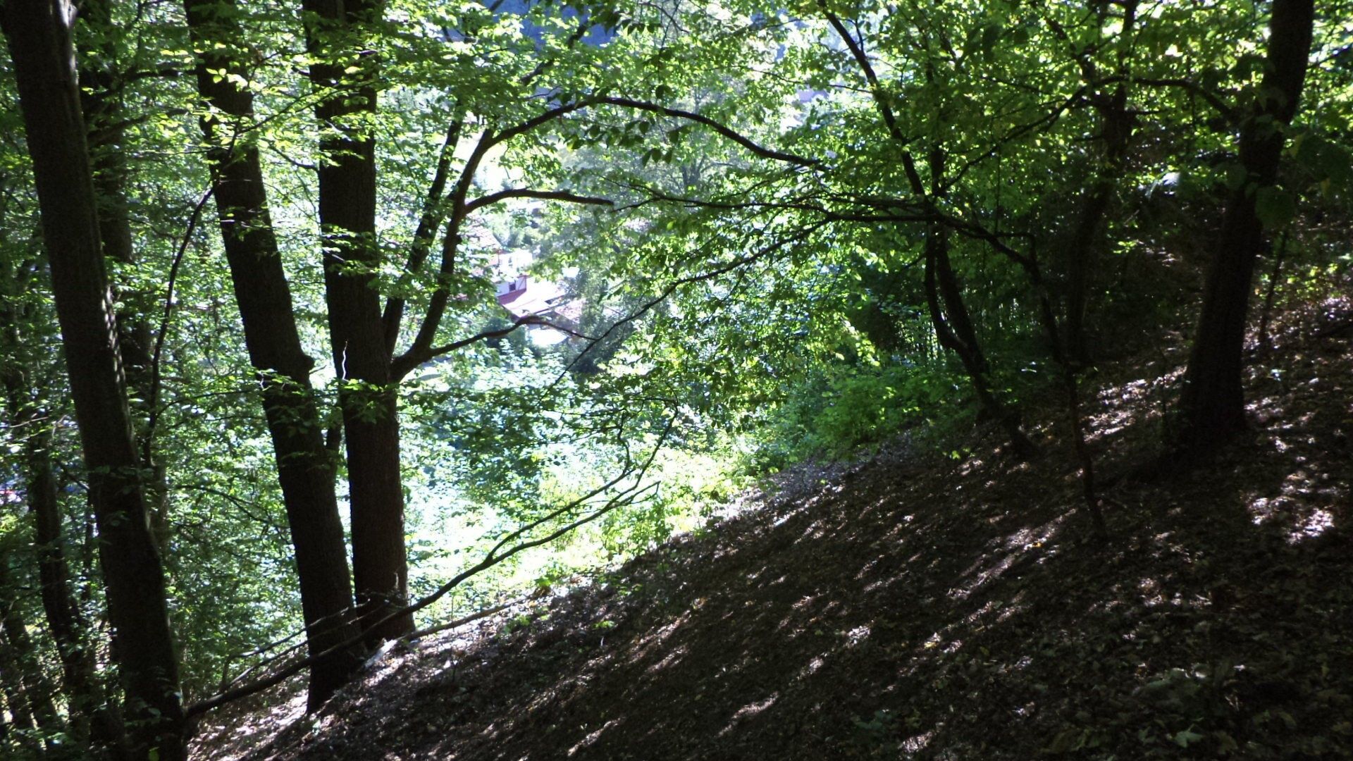Ostatní, Děčín, 675 m² - 1
