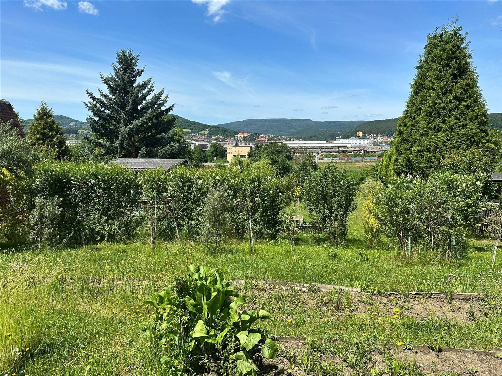 Zahrady, Děčín - 2