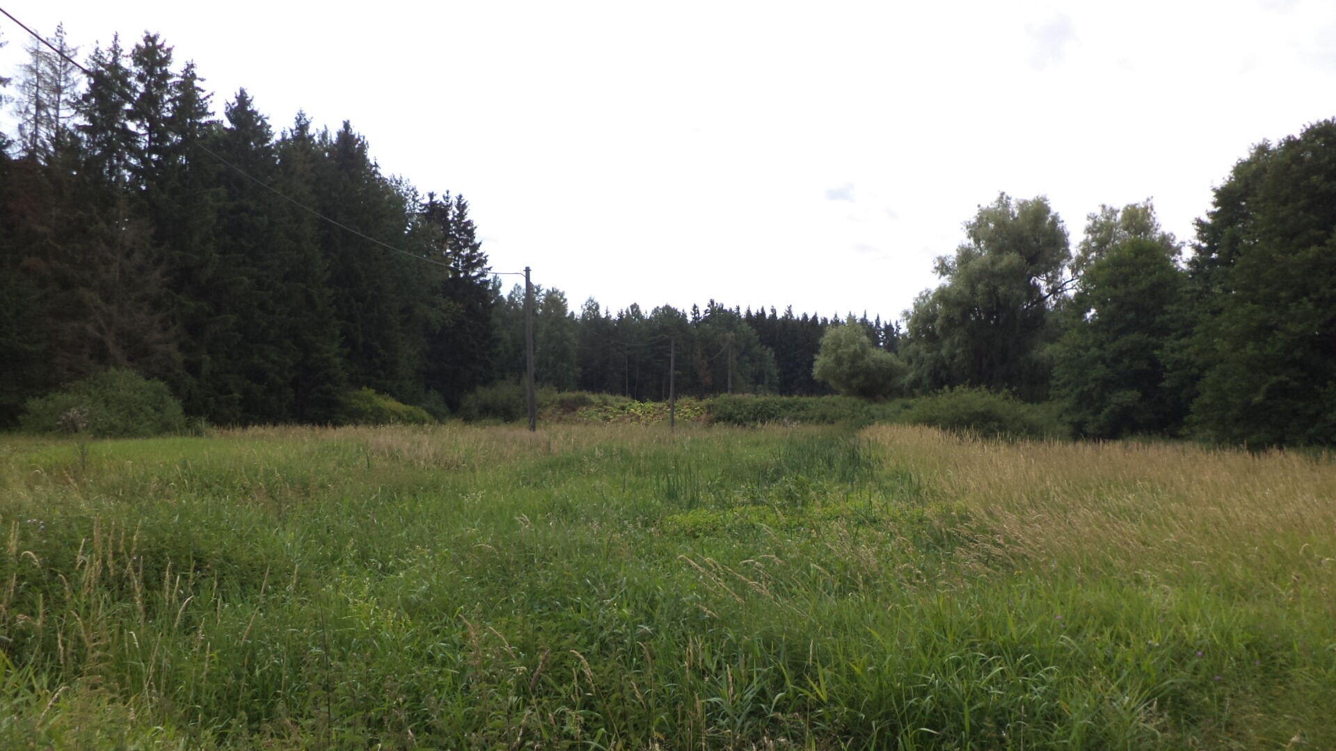 Zemědělský pozemek · 13 137 m² · Chodský Újezd Nahý Újezdec - 4