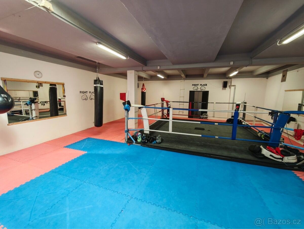 Ostatní, Praha, 170 00