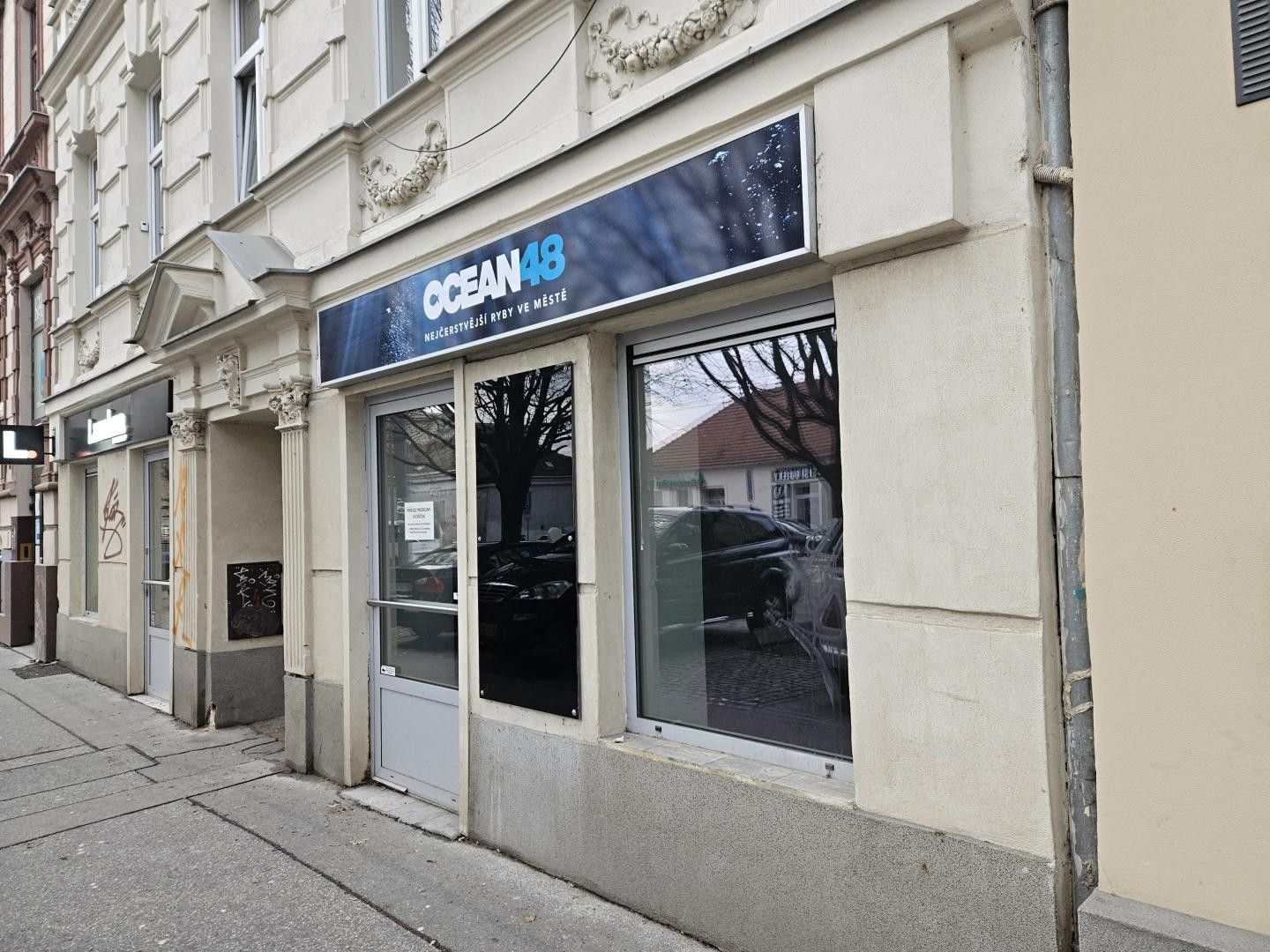 Pronájem obchodní prostory - Palackého třída, Brno, 26 m²