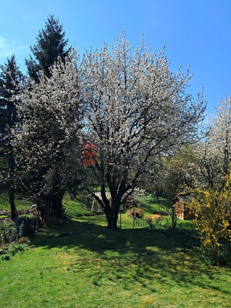 Chalupy, Týn nad Vltavou, okres České Budějovice, Jihočeský kraj, 46 m² - 2