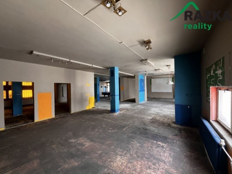 Komerční nemovitost · 291 m² · Jana Ziky, Tachov - 4