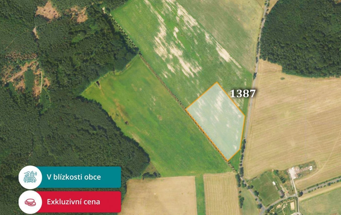 Prodej zemědělský pozemek - Arnoltice, 8 056 m²